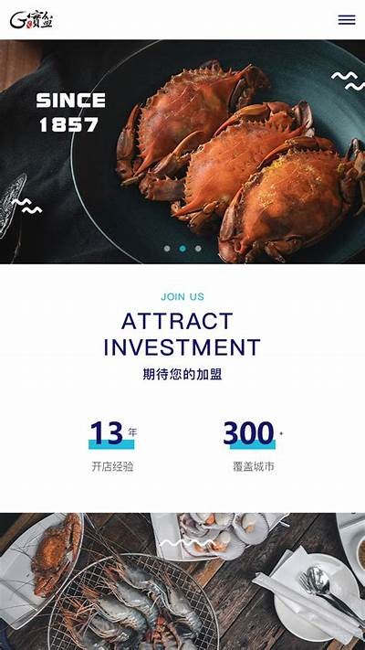 成人免费午夜试看：精选高清视频